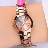 Simple Temperament Women's Watch Quartz Waterproof
